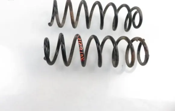 Renault Scenic III - Grand scenic III Rear coil spring 