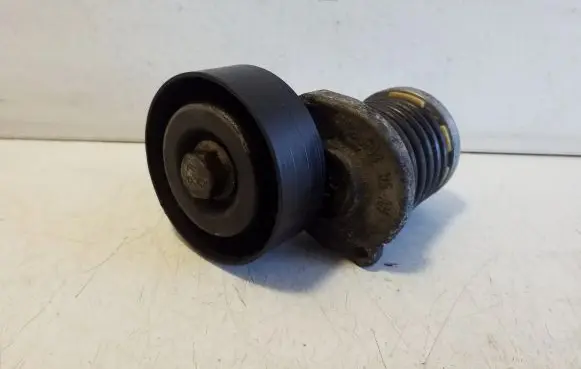Volkswagen Polo V 6R Alternator belt tensioner 038903315
