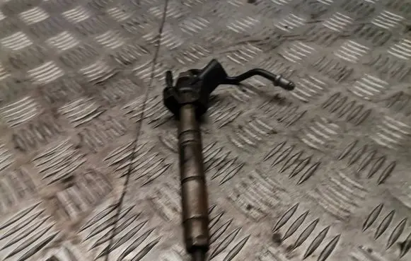 Mercedes-Benz R W251 Fuel injector a642070031387