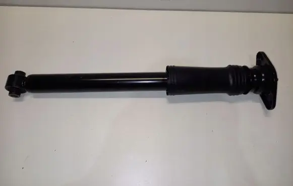 Hyundai ix35 Rear shock absorber/damper 553002Y101QQH