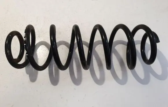 Rear coil spring