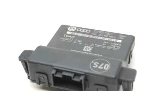 Volkswagen PASSAT B6 Gateway control module 3C0907530C