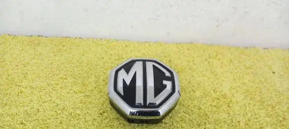 MG ZS Rear door emblem/model letters 20191212