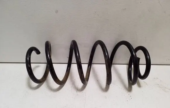 Rear coil spring