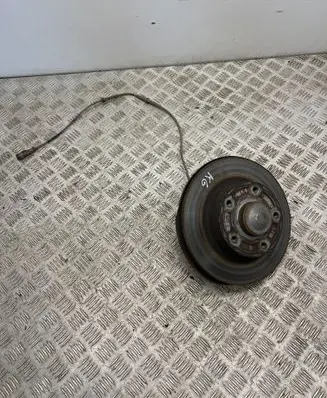Renault Megane IV Rear wheel hub