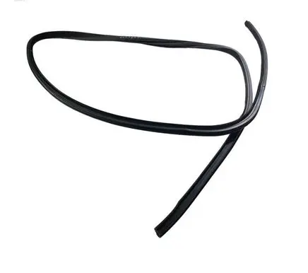 Dodge Charger Rear door rubber seal (on body) 