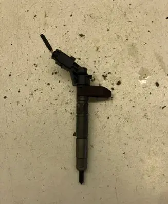 Hyundai ix 55 Fuel injector 338003A000 0445115046