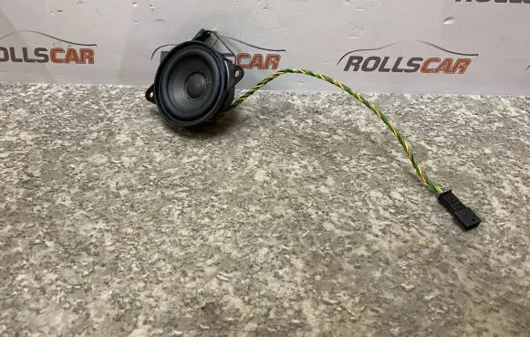 BMW X5 E53 Panel speaker 61928910 491343081001 5136126