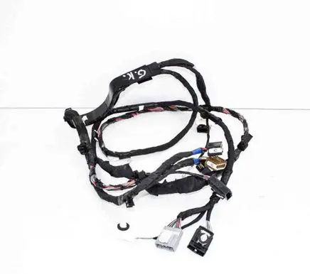 Tesla Model X Rear door wiring loom 