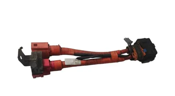 Nissan Leaf I (ZE0) Other wiring loom 1232012 001348L2