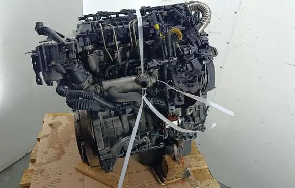 Ford Focus Engine G8DB