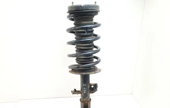 BMW X5 E53 Front shock absorber with coil spring 1096272