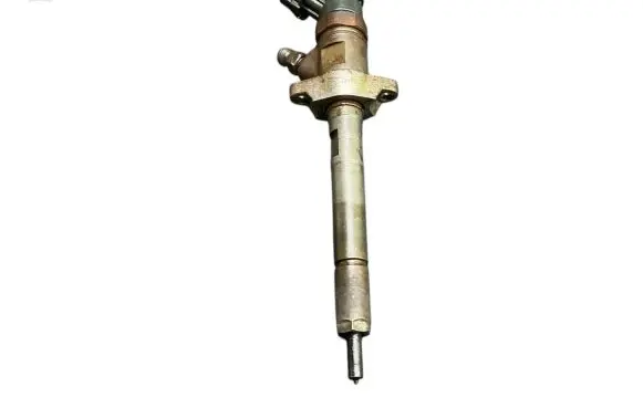 Peugeot Partner Fuel injector 0445110311 620033