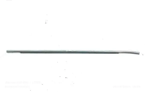 Hyundai Santa Fe Front door glass trim molding