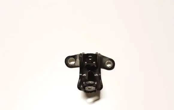 KIA Sportage Rear door lower hinge
