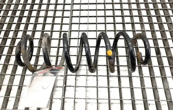 Volkswagen PASSAT B7 Rear coil spring 