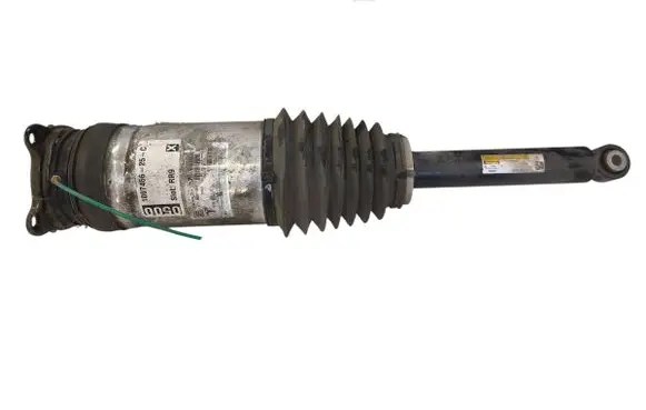 Tesla Model S Shock absorber/damper/air suspension 106746625C W309255101