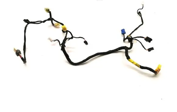 Tesla Model S Other wiring loom F181FPCAA01