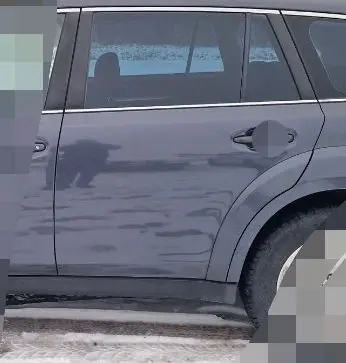 Subaru Outback Rear door F3T