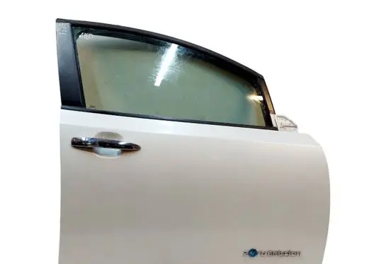 Nissan Leaf I (ZE0) Front door