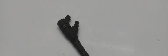 Peugeot 406 Fuel injector 2203277418103 9640088780