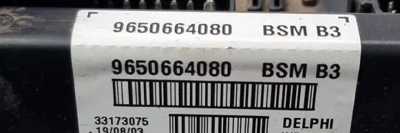Peugeot 307 Fuse box set 9650664080