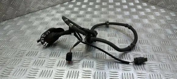 Renault Megane IV Rear door wiring loom 242101836R