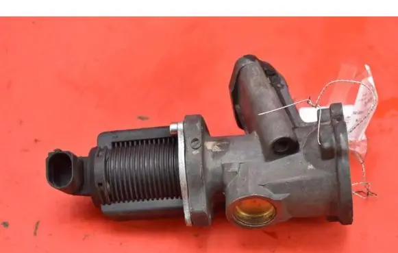 Suzuki Ignis EGR valve