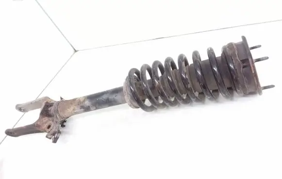 Mercedes-Benz R W251 Front shock absorber with coil spring