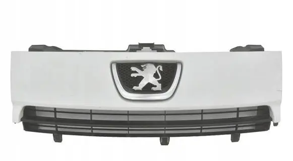 Peugeot Expert Front grill 