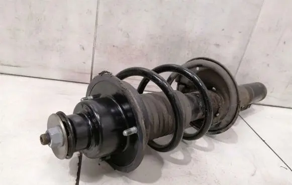 Porsche Cayman 987 Rear shock absorber with coil spring 98733305109
