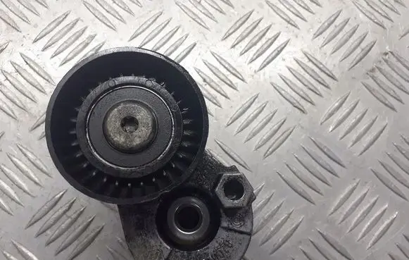 Nissan Note (E11) Alternator belt tensioner pulley 8200460446