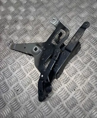 BMW X5 F15 Engine bonnet/hood hinges 7294529