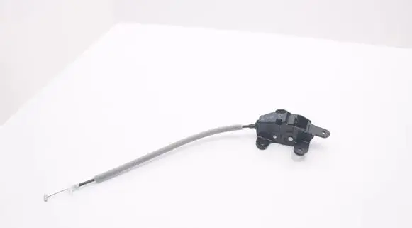 BMW X5 E70 Tailgate/trunk/boot lock/catch/latch 7162147