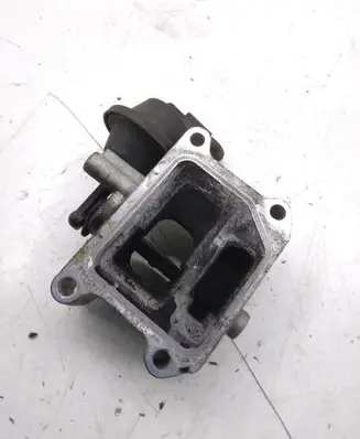 Volvo C30 EGR valve