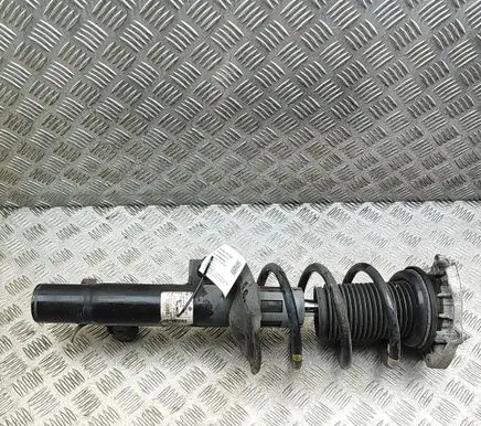 Skoda Enyaq iV Front shock absorber/damper 1EA413032R