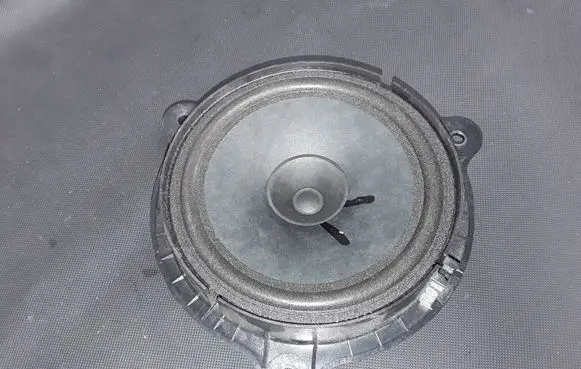 Nissan Juke I F15 Rear door speaker