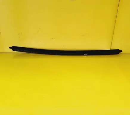 Citroen Xsara Rear door glass trim molding