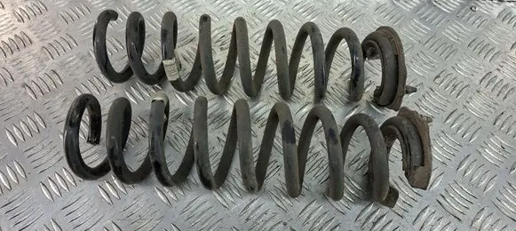 Rear coil spring