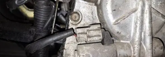 Nissan Murano Z50 Camshaft pulley/ VANOS 