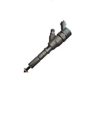Peugeot 307 Fuel injector 0445110076 9641742880