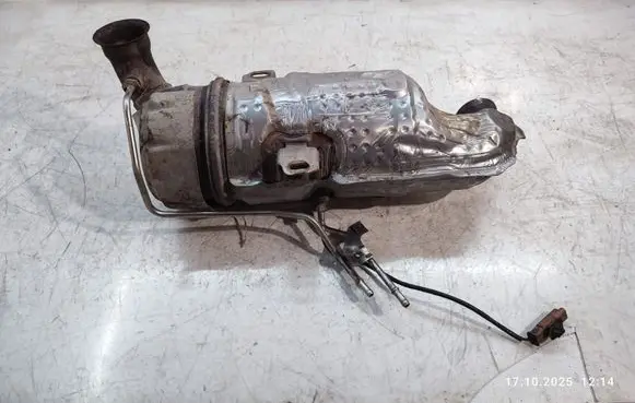 Citroen Berlingo Catalyst/FAP/DPF particulate filter 1005143X