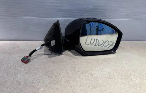 Land Rover Evoque II Front door electric wing mirror L551LUD207