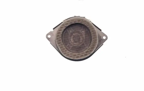 Panel speaker