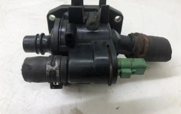 Thermostat/thermostat housing