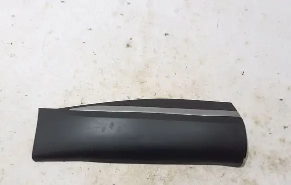 Rear door trim (molding)