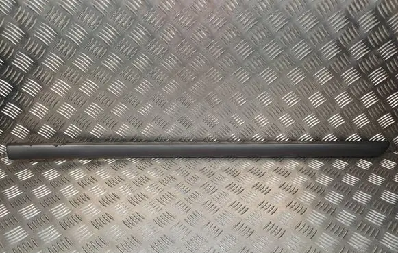 Renault Laguna III Front door trim (molding) 808720001R