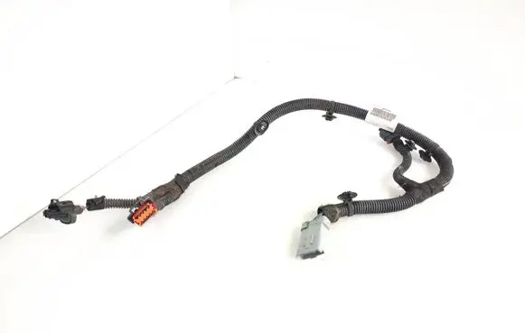 Other wiring loom