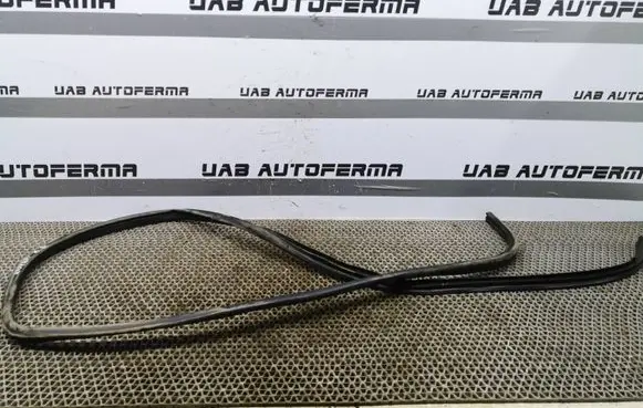 Nissan Qashqai Rear door rubber seal (on body) 