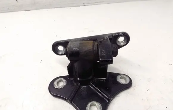 Mercedes-Benz R W251 Rear door lower hinge